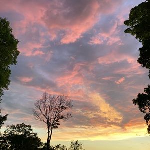 Meet your Posher, Ellie